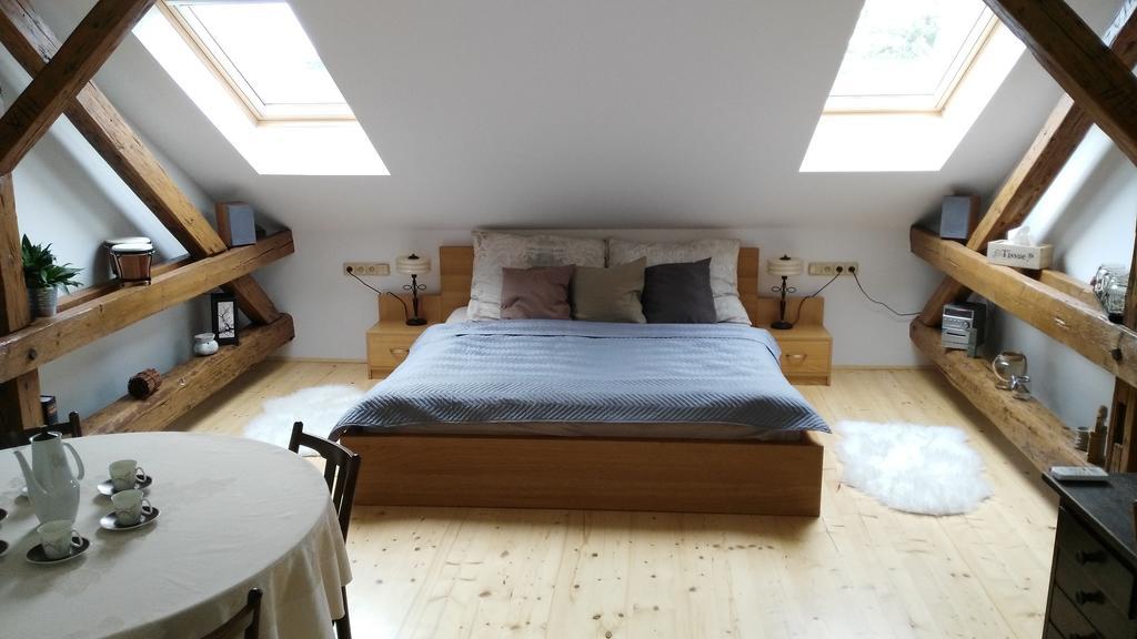 Stylove Podkrovni Apartmany 俄斯特拉发 外观 照片